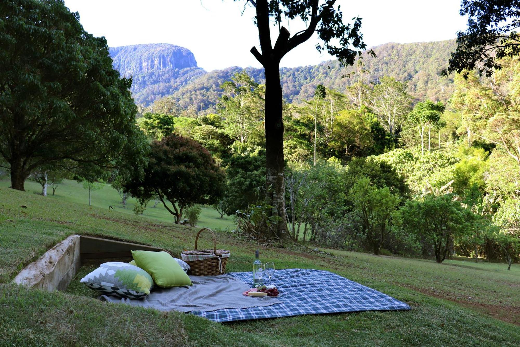 Crystal Creek Rainforest Retreat Dış mekan fotoğraf