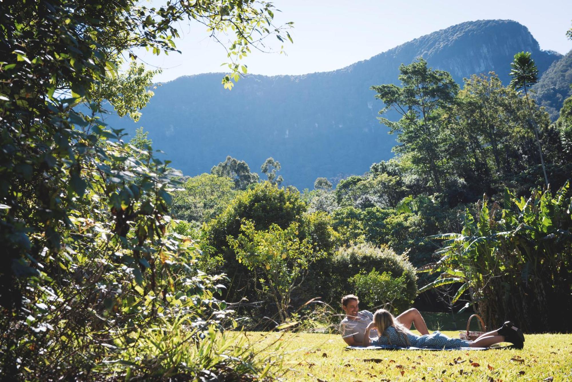 Crystal Creek Rainforest Retreat Dış mekan fotoğraf