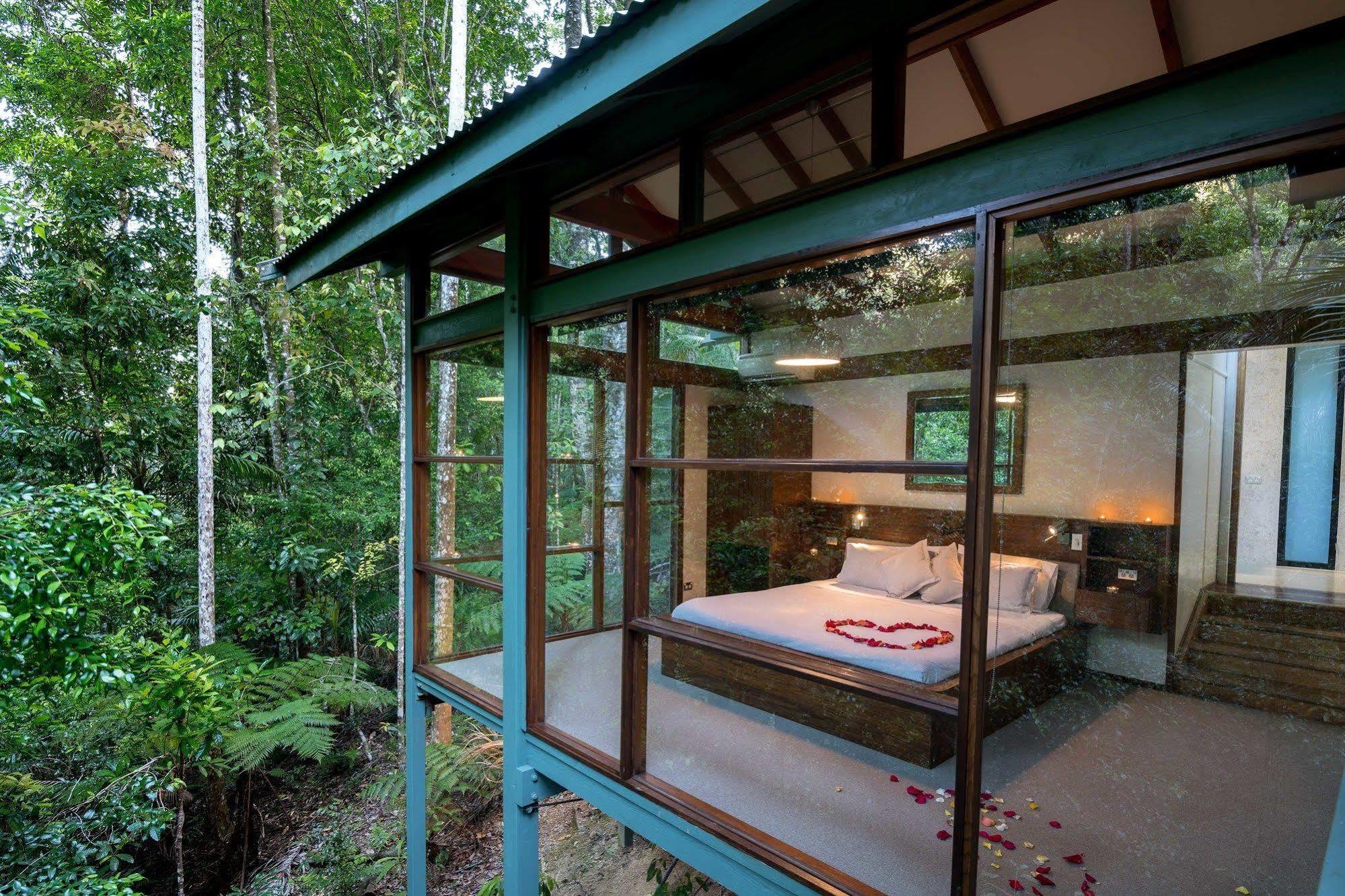 Crystal Creek Rainforest Retreat Dış mekan fotoğraf