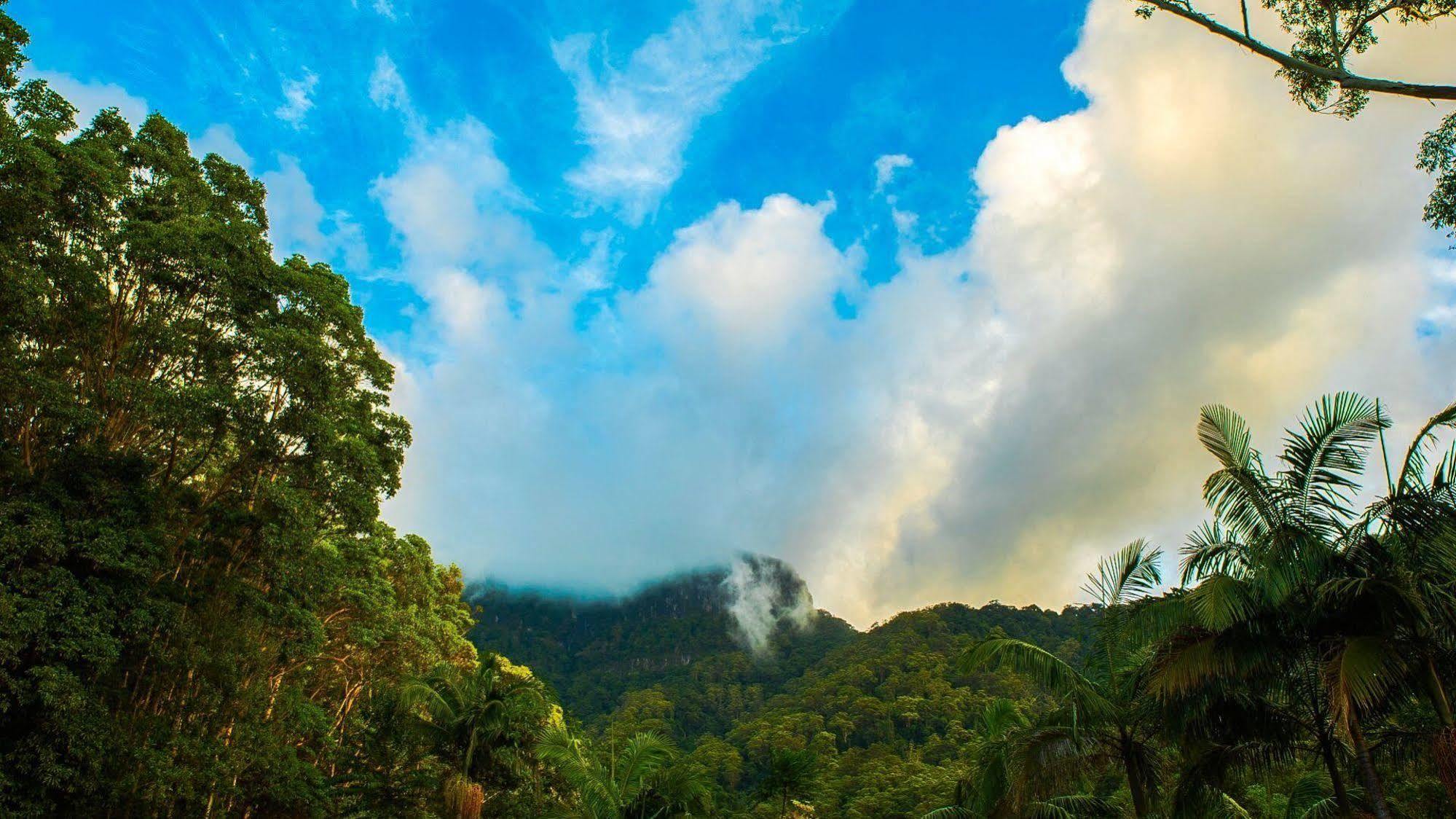 Crystal Creek Rainforest Retreat Dış mekan fotoğraf