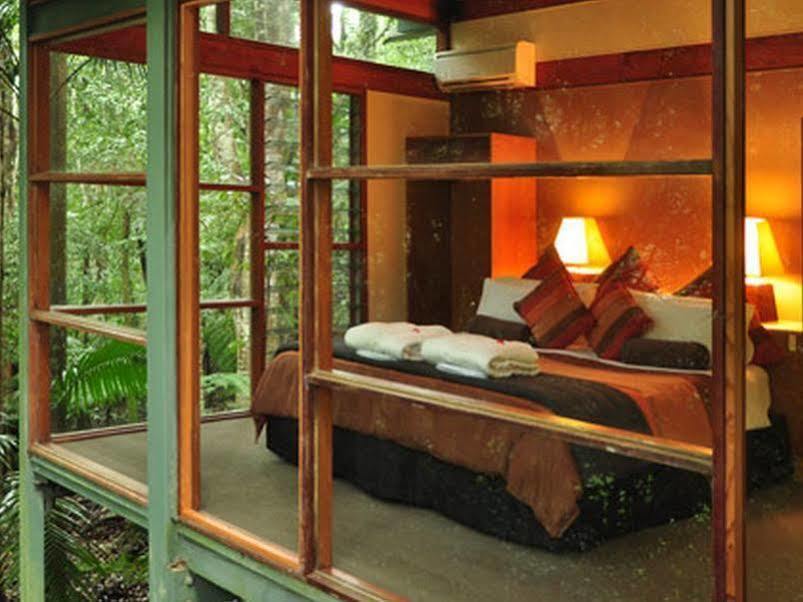 Crystal Creek Rainforest Retreat Dış mekan fotoğraf