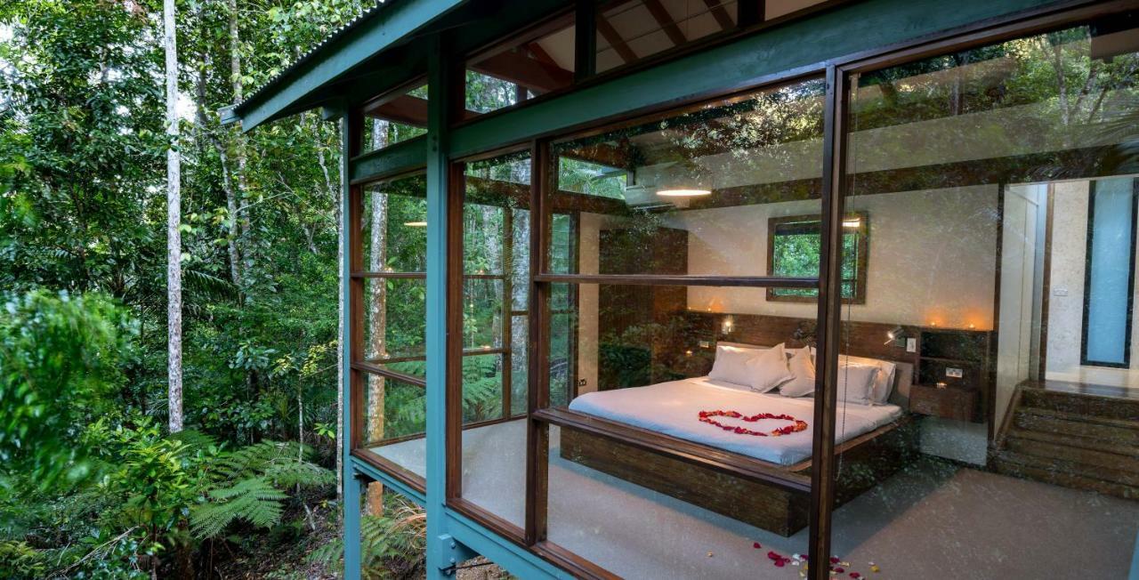 Crystal Creek Rainforest Retreat Dış mekan fotoğraf